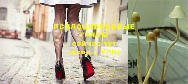 apvp Лабытнанги