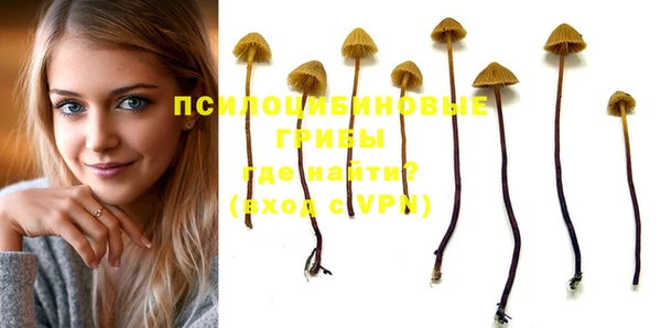 apvp Лабытнанги