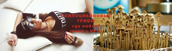твердый Лиски