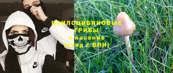 apvp Лабытнанги