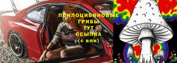 твердый Лиски