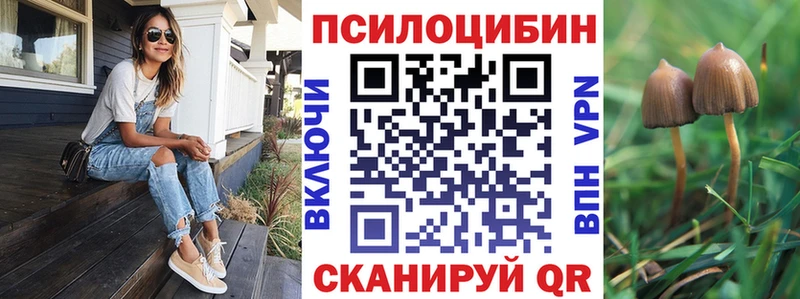 Купить закладки  Хасавюрт  Псилоцибиновые грибы Magic Shrooms 